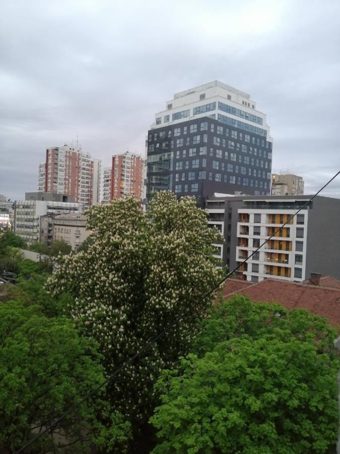 Caviar Apartment Belgrade Exterior photo